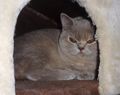 DSC05795 DSC05795